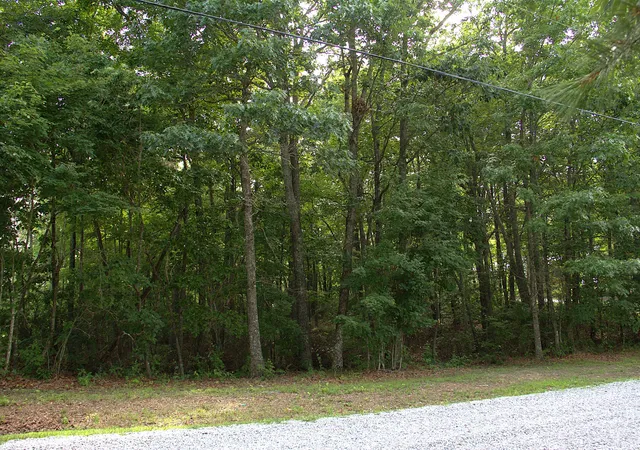 Photo 3 of Land for sale at 0 Blf Line Dr, Mc Minnville, TN 37110 | MLS# 3262589 | Listing updated on 2026-08-20
