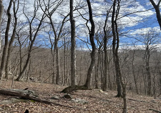 6th image of 0 Bluff Line Dr, Mc Minnville, TN 37110 | MLS# 3262589