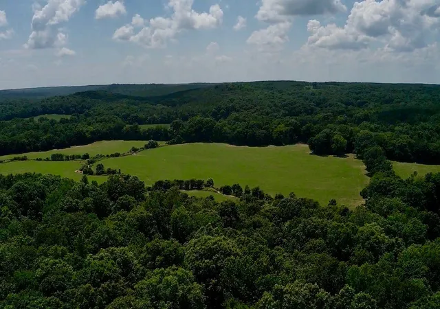 Homes for sale in Decaturville, TN | 0 Old Furnace Rd, Decaturville, TN 38329 | MLS# 3260708