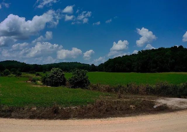 Homes for sale in Decaturville, TN | 0 Old Furnace Rd, Decaturville, TN 38329 | MLS# 3260708