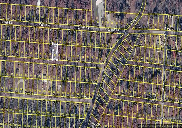 Homes for sale in Buchanan, TN | 0 Carp Dr Lot 48, Buchanan, TN 38222 | MLS# 3261106