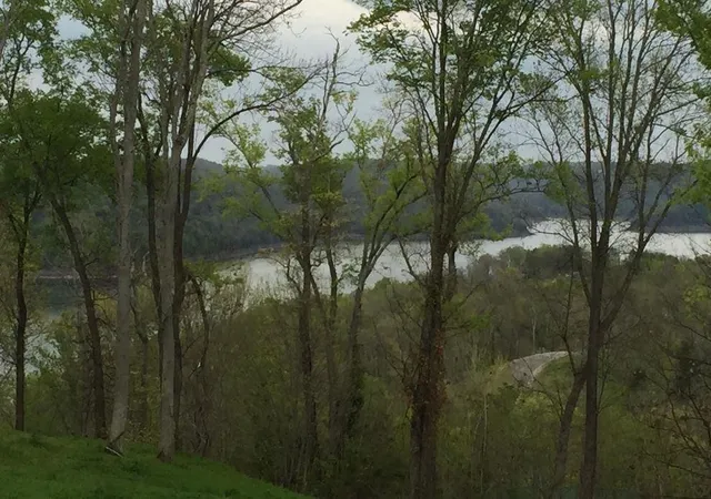 Photo 4 of Land for sale at 413 Maury Ln, Smithville, TN 37166 | MLS# 3260771 | Listing updated on 2026-08-29