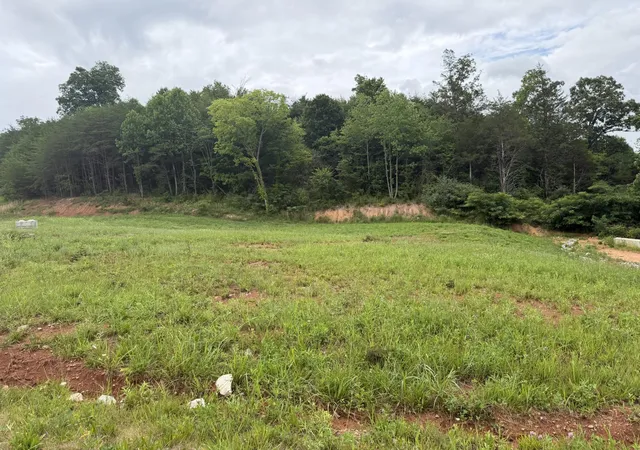 Homes for sale in Tellico Plains, TN | 0 Bear Lane, Tellico Plains, TN 37385 | MLS# 3260819