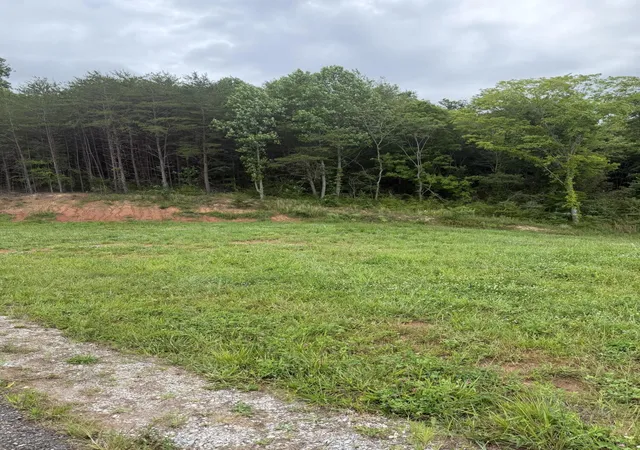 Homes for sale in Tellico Plains, TN | 0 Bear Lane, Tellico Plains, TN 37385 | MLS# 3260819
