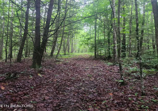 Photo 4 of Land for sale at 186 Crockett Cemetery Rd, Jamestown, TN 38556 | MLS# 3261066 | Listing updated on 2026-08-23
