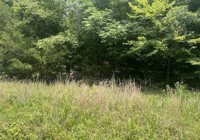 Homes for sale in Linden, TN | 6 Toms Creek Lake Rd, Linden, TN 37096 | MLS# 3261072