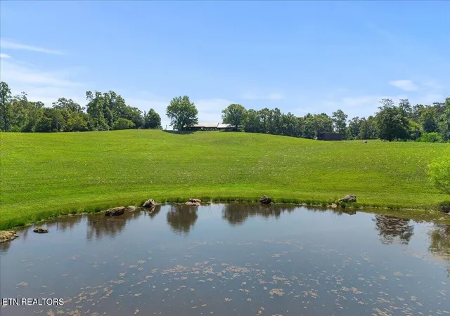 Homes for sale in Tellico Plains, TN | 910 Reagan Valley Road, Tellico Plains, TN 37385 | MLS# 3261069