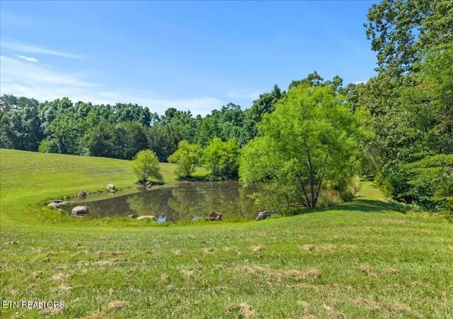 Homes for sale in Tellico Plains, TN | 910 Reagan Valley Road, Tellico Plains, TN 37385 | MLS# 3261069