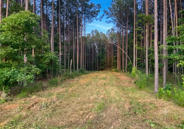 Homes for sale in Big Sandy, TN | 0 Adaleighs Way, Big Sandy, TN 38221 | MLS# 3261185