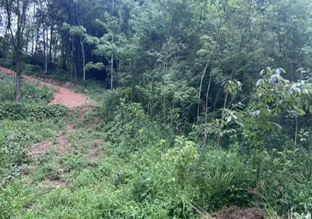 Photo 2 of Land for sale at 2627 Roy Dodson Rd, Columbia, TN 38401 | MLS# 3261180 | Listing updated on 2026-08-20
