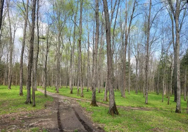 2nd image of 0 Pass Rd, Shelbyville, TN 37160 | MLS# 3263971