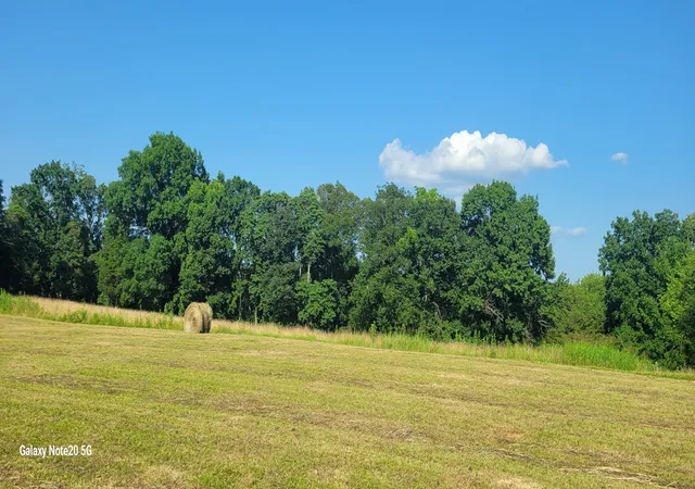 4th image of 0 Pass Rd, Shelbyville, TN 37160 | MLS# 3263971