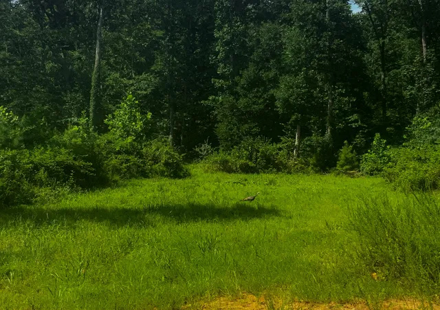2nd image of 0 Topside Dr, Dover, TN 37058 | MLS# 3261411