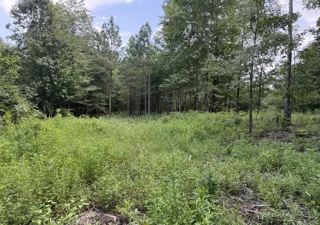 25th image of 0 Topside Dr, Dover, TN 37058 | MLS# 3261411