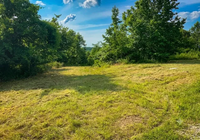 Homes for sale in Dover, TN | 0 Topside Dr, Dover, TN 37058 | MLS# 3261411