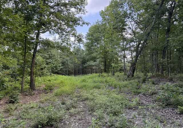 Photo 2 of Land for sale at 0 Topside Dr, Dover, TN 37058 | MLS# 3261411 | Listing updated on 2026-07-23