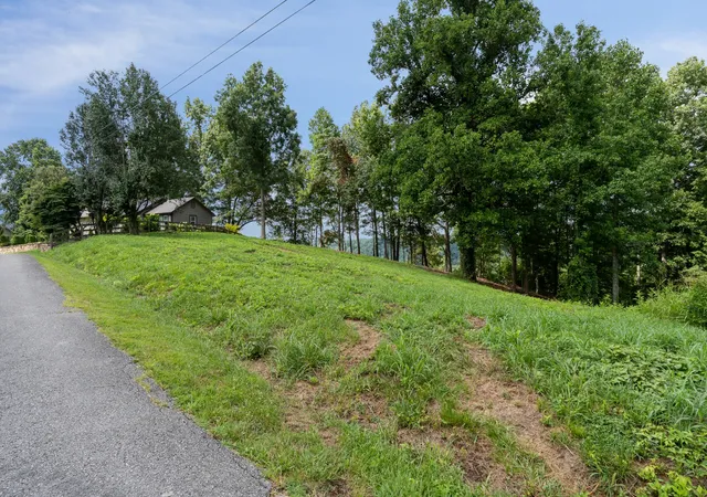Homes for sale in Smithville, TN | 0 Opal Pt Dr, Smithville, TN 37166 | MLS# 3269878
