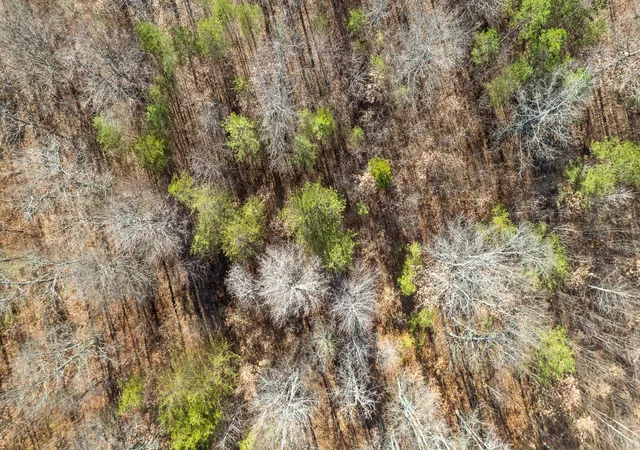 5th image of 337 Bluff View Dr, Dunlap, TN 37327 | MLS# 3336498