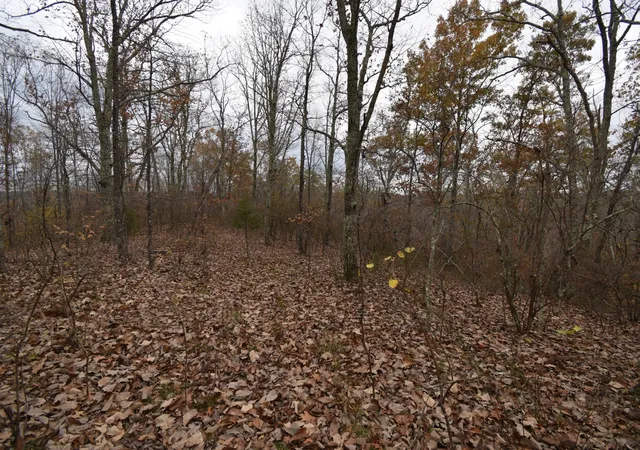 1st image of 0 Depriest Bend Dr, Lobelville, TN 37097 | MLS# 3272078