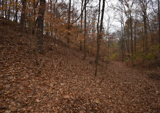 3rd image of 0 Depriest Bend Dr, Lobelville, TN 37097 | MLS# 3272078