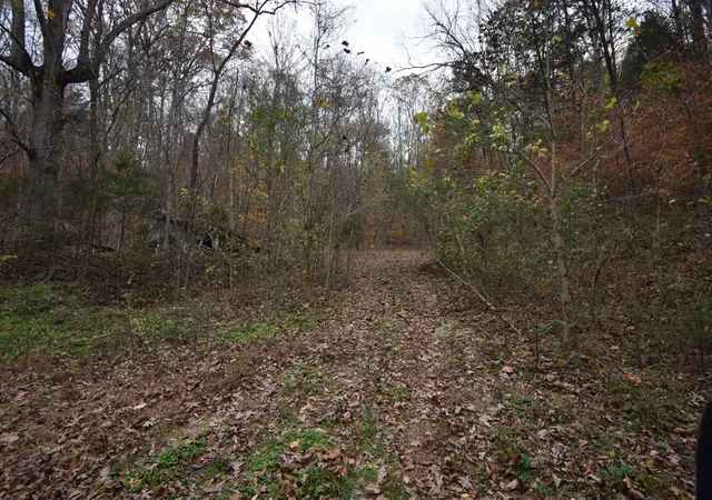 4th image of 0 Depriest Bend Dr, Lobelville, TN 37097 | MLS# 3272078