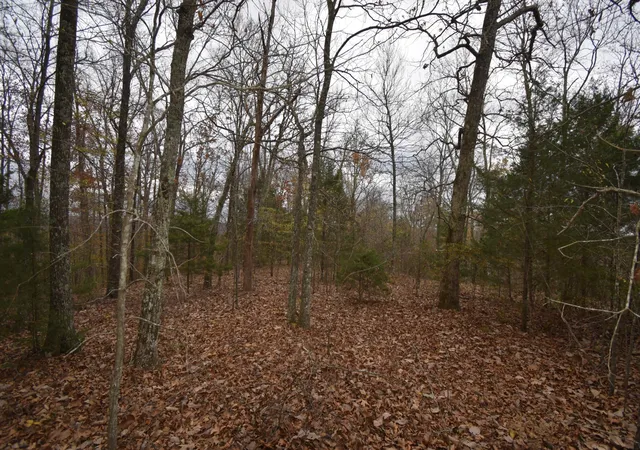 5th image of 0 Depriest Bend Dr, Lobelville, TN 37097 | MLS# 3272078
