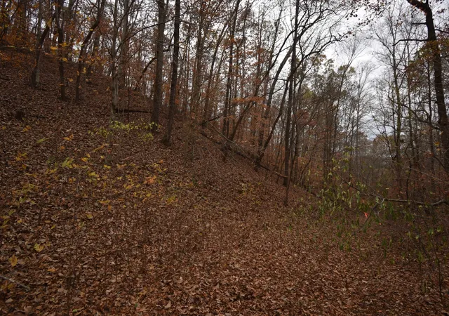 6th image of 0 Depriest Bend Dr, Lobelville, TN 37097 | MLS# 3272078