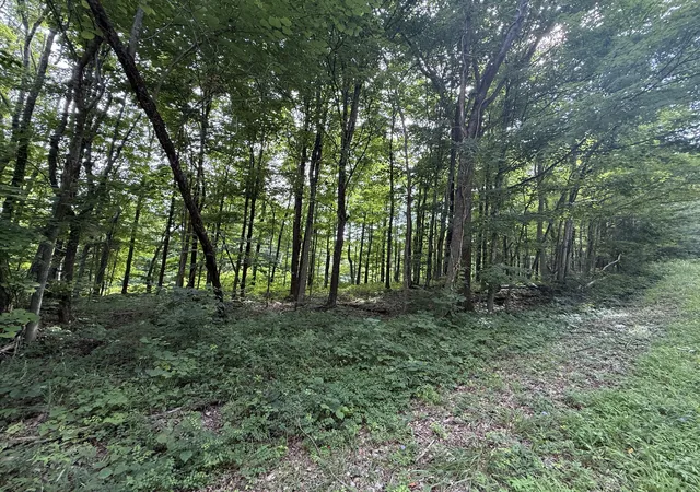 21st image of 0 Rocky Point Rd, Cookeville, TN 38506 | MLS# 3261991