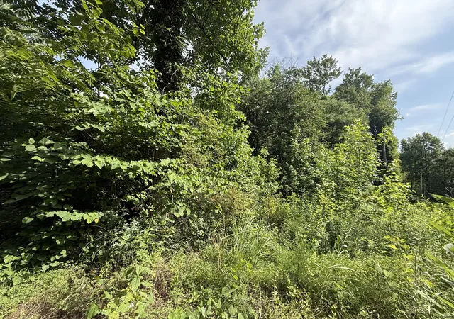 3rd image of 0 Rocky Point Rd, Cookeville, TN 38506 | MLS# 3261991