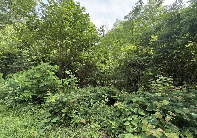 4th image of 0 Rocky Point Rd, Cookeville, TN 38506 | MLS# 3261991