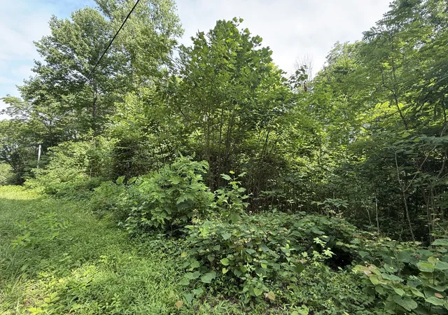 5th image of 0 Rocky Point Rd, Cookeville, TN 38506 | MLS# 3261991