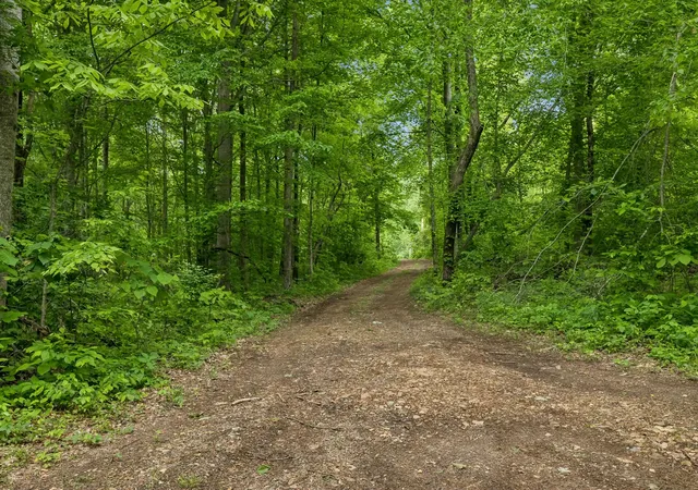 2nd image of 0 Wilderness Lane, Lafayette, TN 37083 | MLS# 3262773