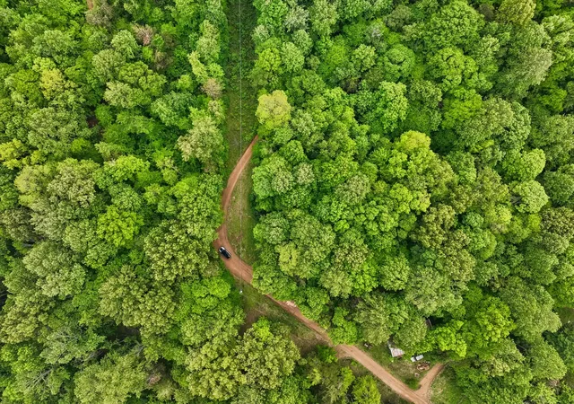 3rd image of 0 Wilderness Lane, Lafayette, TN 37083 | MLS# 3262773