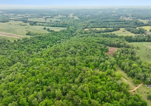4th image of 0 Wilderness Lane, Lafayette, TN 37083 | MLS# 3262773