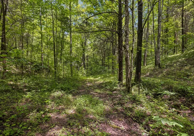 Photo 3 of House for sale at 4876 Louise Crk Rd, Cunningham, TN 37052 | MLS# 3279286 | Listing updated on 2026-07-14