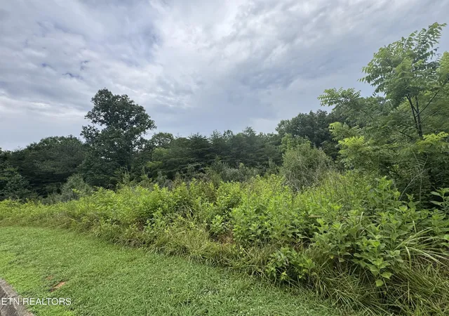 Photo 3 of Land for sale at 2 Malea Ln, Kingston, TN 37763 | MLS# 3592535 | Listing updated on 2026-09-17