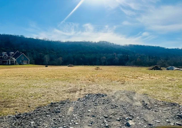 Homes for sale in Auburntown, TN | 0 Hwy 96 East, Auburntown, TN 37016 | MLS# 3262153
