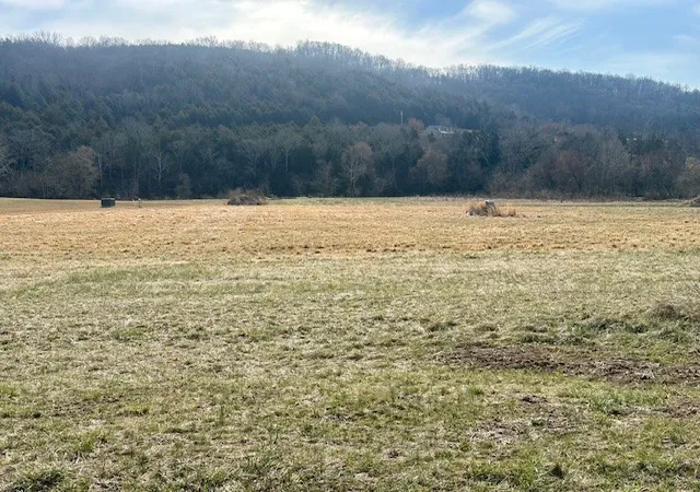 Homes for sale in Auburntown, TN | 0 Hwy 96 East, Auburntown, TN 37016 | MLS# 3262153