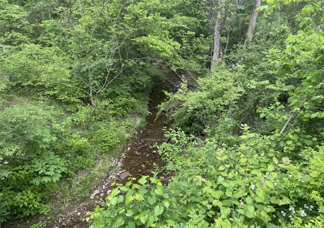 10th image of 0 Old Hwy 52, Westmoreland, TN 37186 | MLS# 3305086