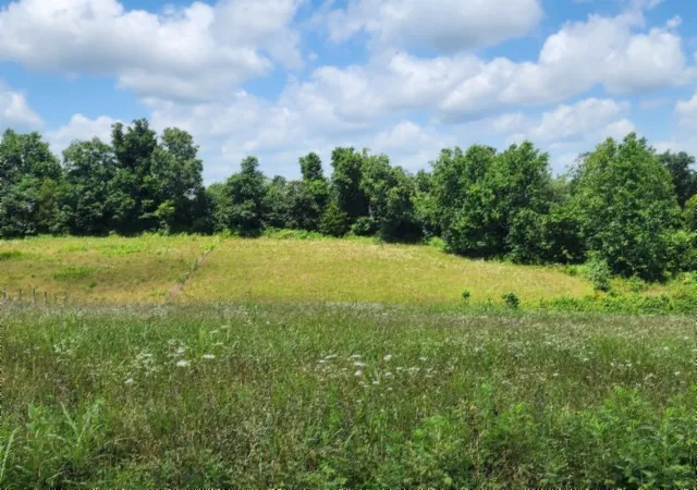 Homes for sale in Red Boiling Springs, TN | 0 Rose Hill Rd, Red Boiling Springs, TN 37150 | MLS# 3262596