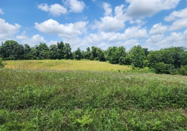 Homes for sale in Red Boiling Springs, TN | 0 Rose Hill Rd, Red Boiling Springs, TN 37150 | MLS# 3262596