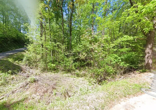 2nd image of 585 Overview Way, Newport, TN 37821 | MLS# 3262620
