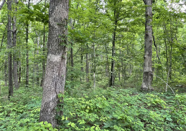 1st image of 328 James Turner Rd, Tracy City, TN 37387 | MLS# 3262650