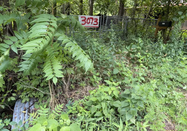 Photo 3 of Land for sale at 3073 Fly Rd, Santa Fe, TN 38482 | MLS# 3280935 | Listing updated on 2026-08-20