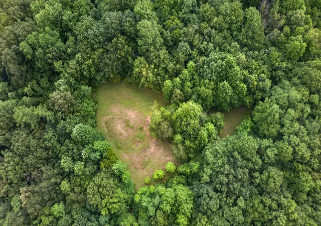 5th image of 0 Eagle Cliff Road, Monteagle, TN 37356 | MLS# 3282608