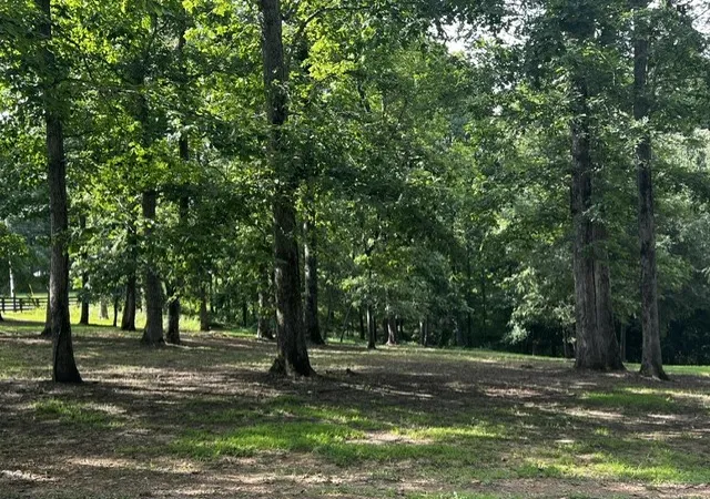 2nd image of 7865 Barnhill Rd, Primm Springs, TN 38476 | MLS# 3263465