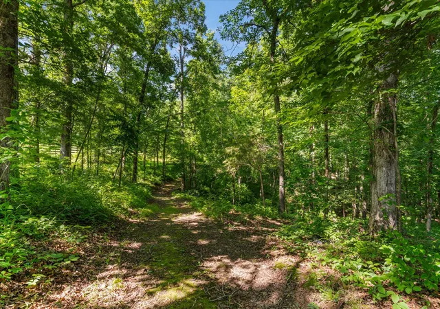3rd image of 7865 Barnhill Rd, Primm Springs, TN 38476 | MLS# 3263465