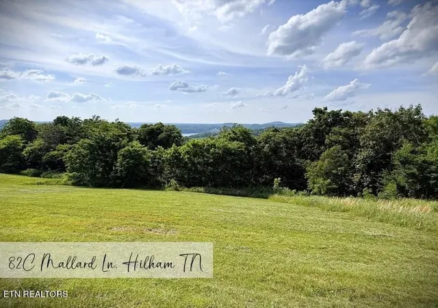Homes for sale in Hilham, TN | 82 Mallard Rd, Hilham, TN 38568 | MLS# 3262667