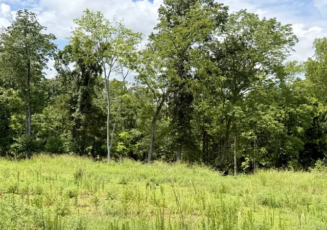 2nd image of 2054 Daniel Johnson Way, Clarksville, TN 37043 | MLS# 3262900