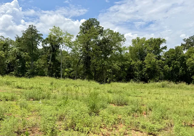 Photo 3 of Land for sale at 2054 Daniel Johnson Way, Clarksville, TN 37043 | MLS# 3262900 | Listing updated on 2026-08-31